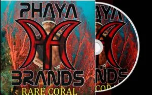 Phaya Brands - Let's Fly Away