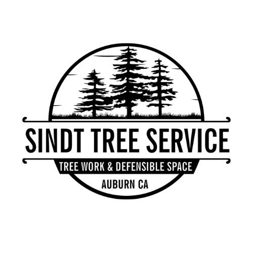 Sindt-Tree-Service